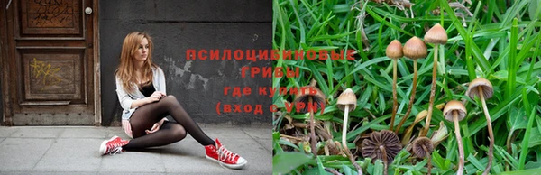 твердый Армянск