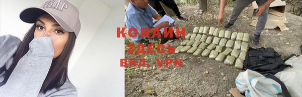 прущие крисы Балабаново