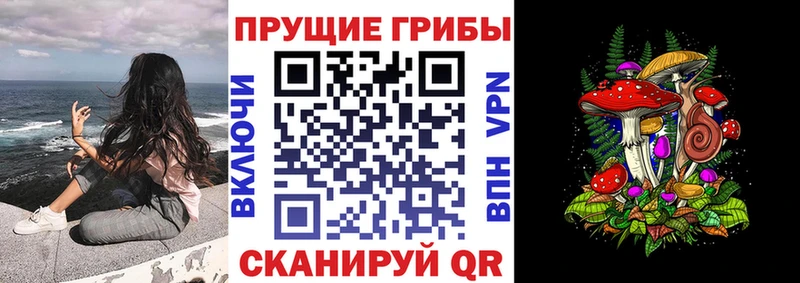 Галлюциногенные грибы мицелий  hydra ссылка  Павловск 